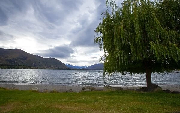 Lake Wanaka, Otago, South Island, New Zealand, Pacific