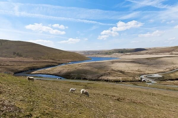 A landscape view of Elan Valley, Powys, Wales, United Kingdom, Europe
