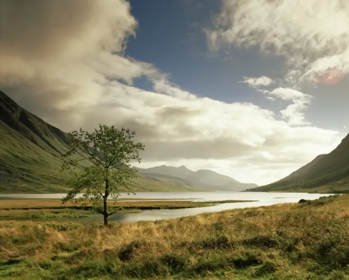 Framed Print : Loch Etive Print with Lone Tree Framed Print : Loch Etive Print with Lone Tree