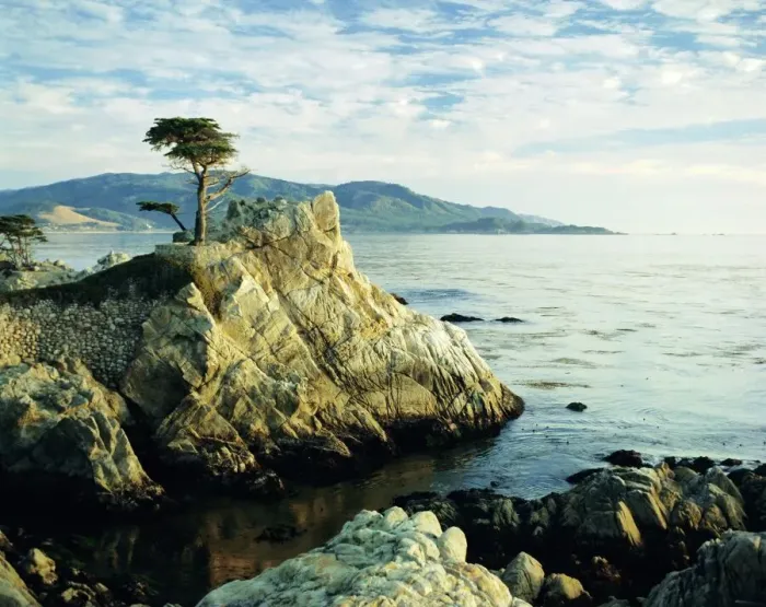 Framed Print : The Lone Cypress Tree Print, Carmel Coast Landscape Framed Print : The Lone Cypress Tree Print, Carmel Coast Landscape