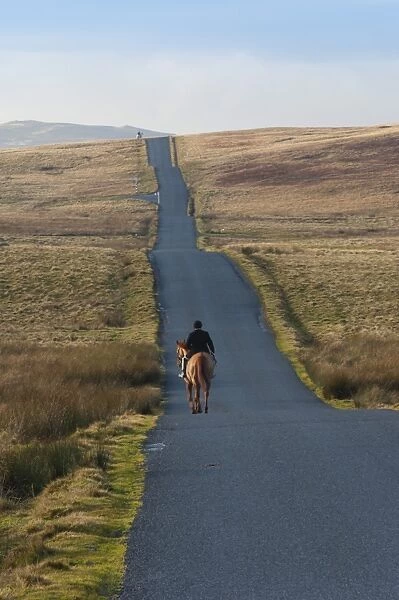 Lone Hunter, Caldbeck Fell Road, Back o Skiddaw, Cumbria, England, United Kingdom, Europe