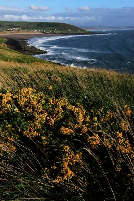 Framed Print : North Devon Landscape Print - Croyde Bay from Baggy Point Framed Print : North Devon Landscape Print - Croyde Bay from Baggy Point