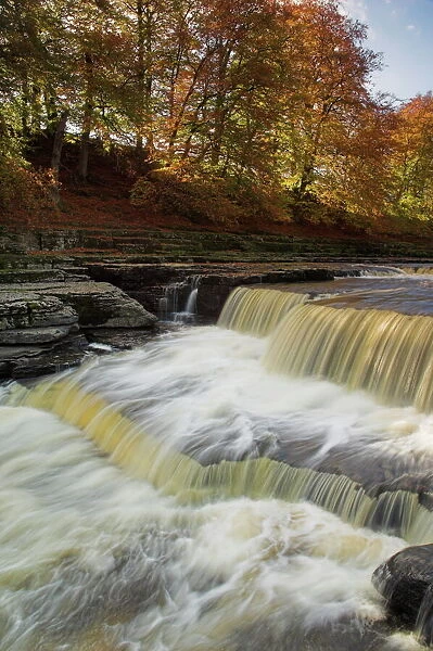 Lower Aysgarth Falls and autumn colours near Hawes, Wensleydale, Yorkshire Dales National Park