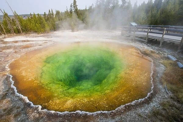 Morning Glory Pool in Upper Geyser Basin, Yellowstone National Park, UNESCO World Heritage Site