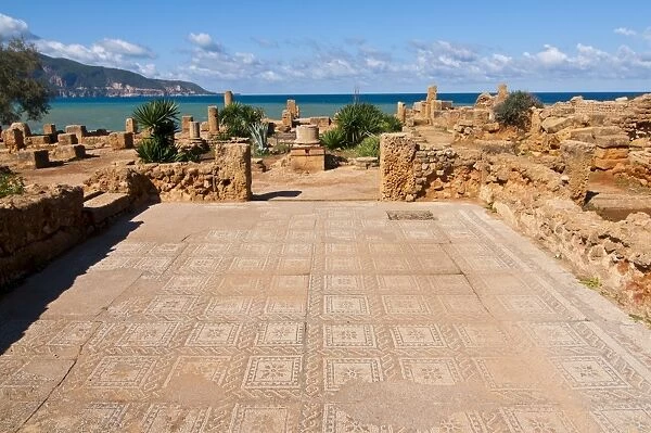 Mosaics at the Roman ruins of Tipasa, UNESCO World Heritage Site, on the Algerian coast