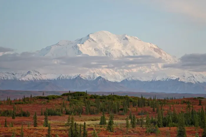 Framed Print : Mount Denali Print at Sunset Framed Print : Mount Denali Print at Sunset