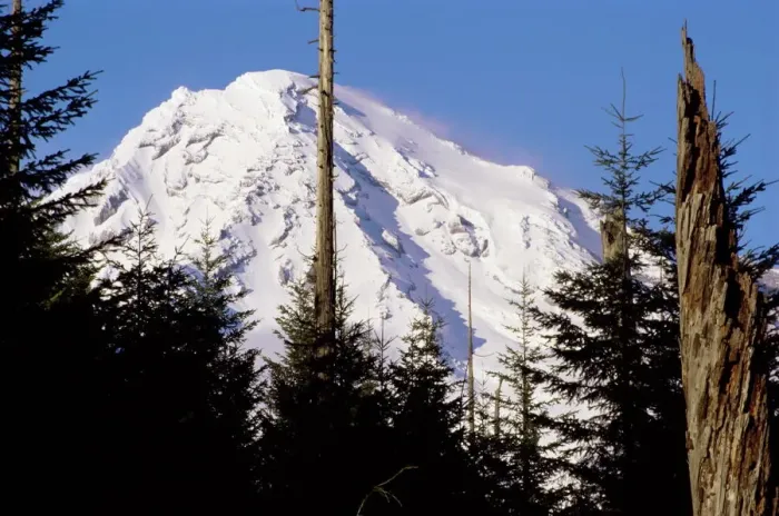 Framed Print : Mount Rainier Print, Washington State Landscape Framed Print : Mount Rainier Print, Washington State Landscape