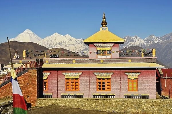 Muktinath and Dhaulagiri Himal, Muktinath Valley, Annapurna Conservation Area, Mustang District, Dhawalagiri (Dhaulagiri), Western Region (Pashchimanchal), Nepal, Himalayas, Asia