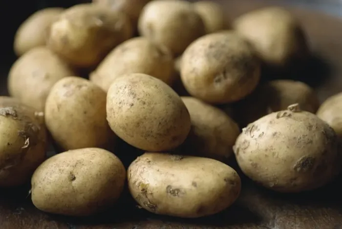 Framed Print : New Potatoes Print Framed Print : New Potatoes Print