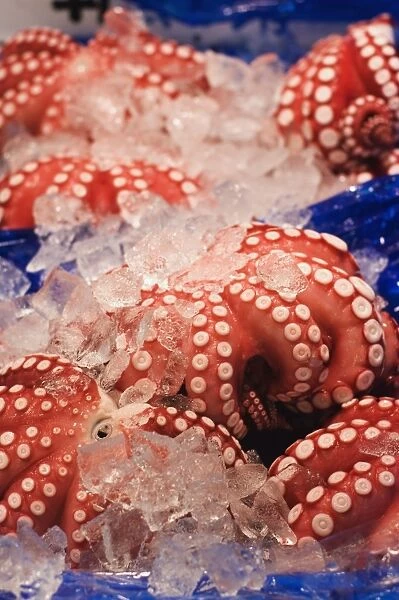 Octopus at Tsukiji fish market, Tokyo, Honshu Island, Japan, Asia