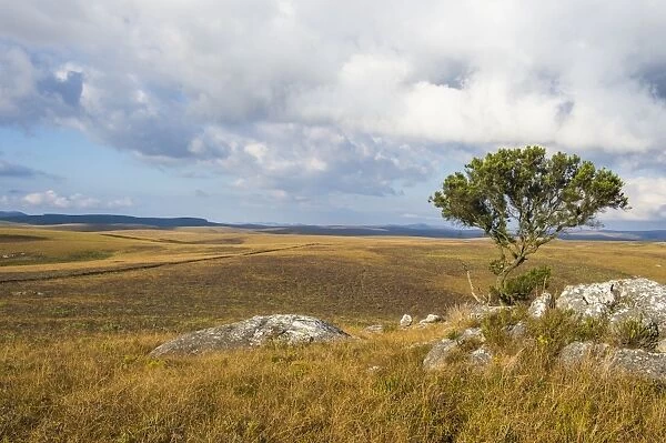 Overlook over the highlands of the Nyika National Park, Malawi, Africa