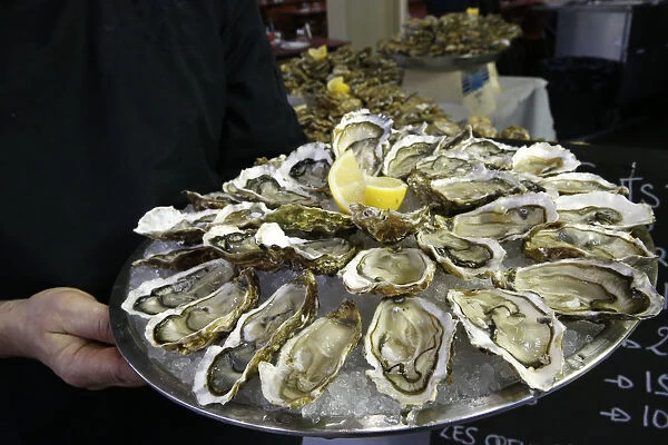 Oysters, Megeve, Haute-Savoie, France, Europe