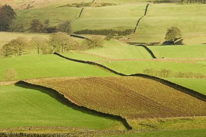 Framed Print : Pennine Landscape Print Framed Print : Pennine Landscape Print