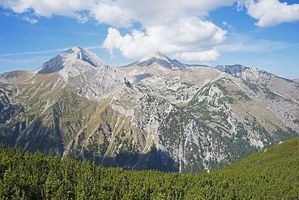 Pirin National Park, UNESCO World Heritage Site, near Bansko, Bulgaria, Europe