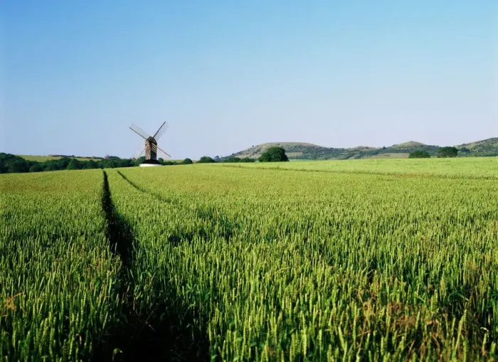 Framed Print : Pitstone Windmill Print, Chilterns Landscape