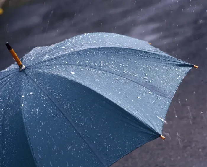 Framed Print : Rain falling on an umbrella Print Framed Print : Rain falling on an umbrella Print