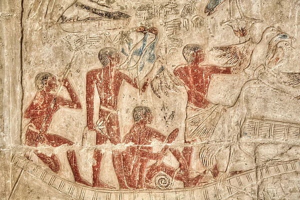 Reliefs, Mastaba of Ankh-Ma-Hor, Necropolis of Saqqara, UNESCO World Heritage Site