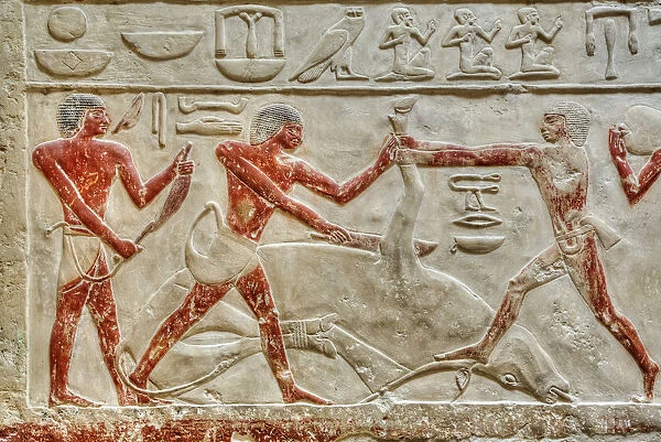 Reliefs, Mastaba of Idut, Step Pyramid Complex, UNESCO World Heritage Site