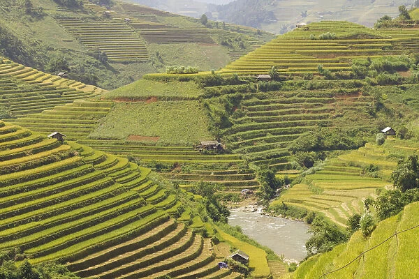 Rice terraces in Mu Cang Chai, Vietnam, Indochina, Southeast Asia, Asia