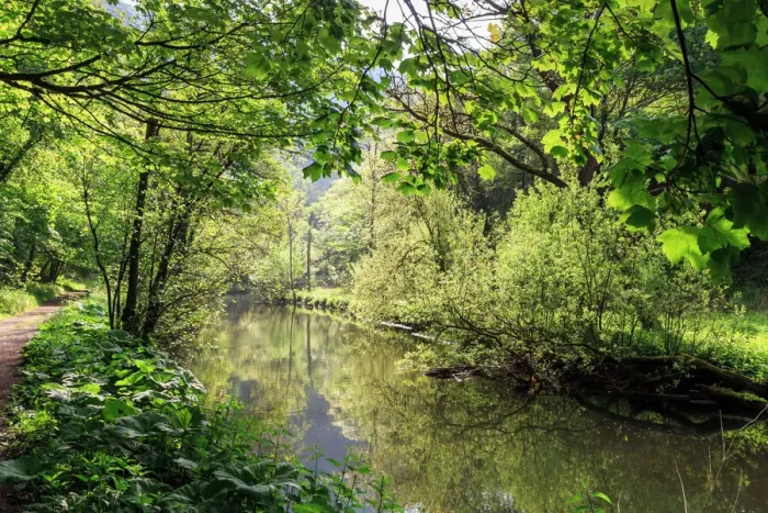 Framed Print : River Wye Spring Landscape Print Framed Print : River Wye Spring Landscape Print