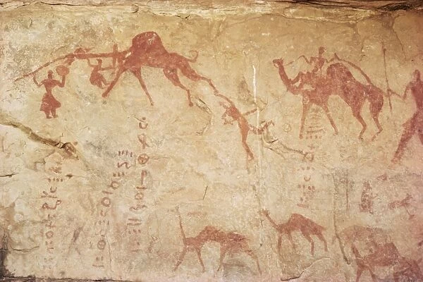 Rock art of Tuaregs with camels, Tassili, Algeria, North Africa, Africa