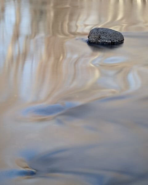 Rock in Oak Creek with ripples, Crescent Moon Picnic Area, Coconino National Forest