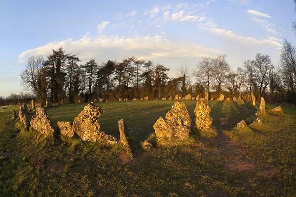 The Rollright Stones, a Bronze Age stone circle, Chipping Norton, Oxfordshire, Cotswolds, England, United Kingdom, Europe