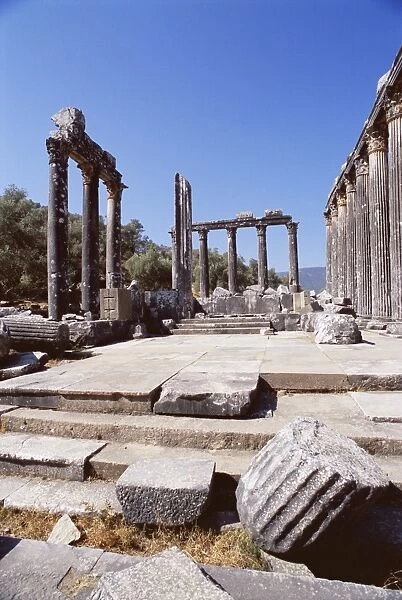Ruins of the Temple of Zeus