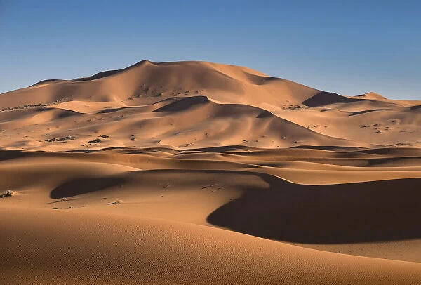 Sand dunes in the Erg Chebbi Desert Dunes, Western Sahara, Morocco, North Africa, Africa