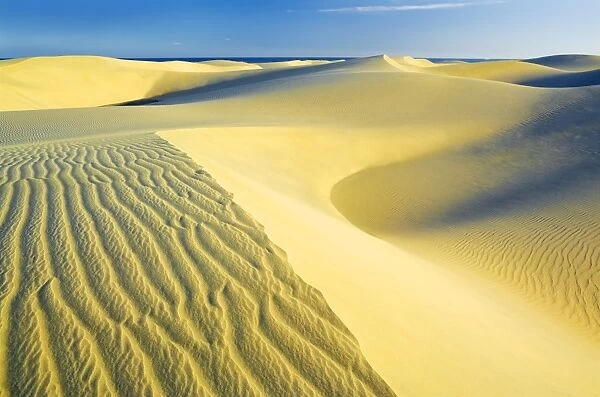 Sand dunes of Maspalomas, Gran Canaria, Canary Islands, Spain, Atlantic, Europe