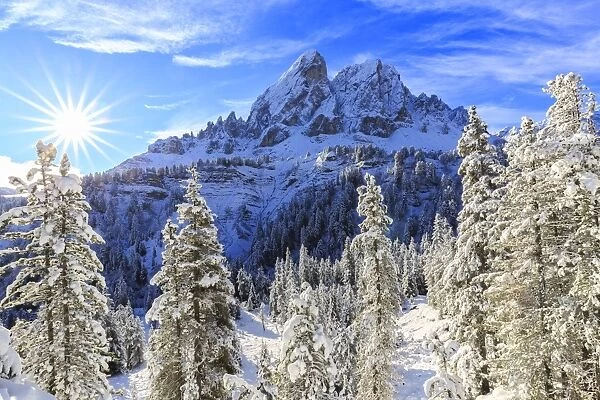 Sass de Putia and forest after a snowfall, Funes Valley, Sudtirol (South Tyrol), Dolomites