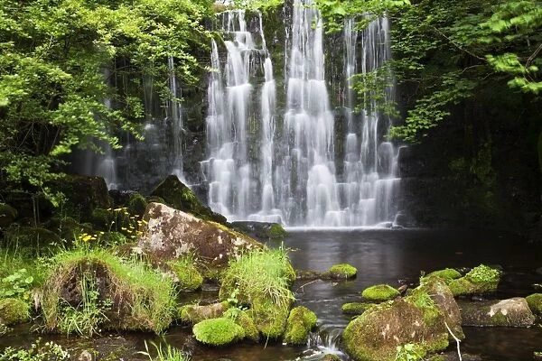 Scale Haw Force near Hebden in Wharfedale, Yorkshire Dales, Yorkshire, England, United Kingdom, Europe
