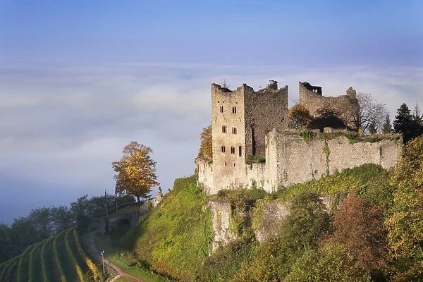 Schauenburg castle ruin, early morning fog, Oberkirch, Black Forest, Baden Wurttemberg