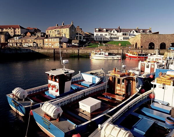Seahouses, Northumberland, England, United Kingdom, Europe