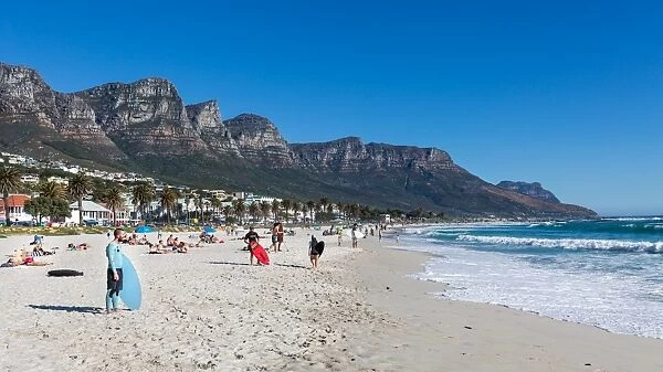 Skimboarders waiting for a wave on a sunny day at Camps Bay beach, Cape Town, Western Cape