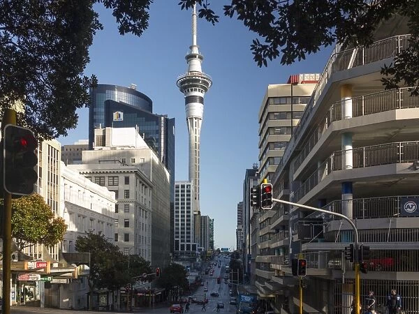 Sky Tower from Victoria Street East, Auckland, North Island, New Zealand, Pacific