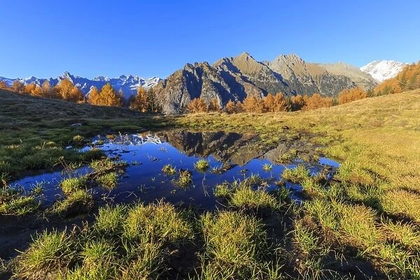 Small pond of Alpe Granda, Valtellina, Lombardy, Italy, Europe
