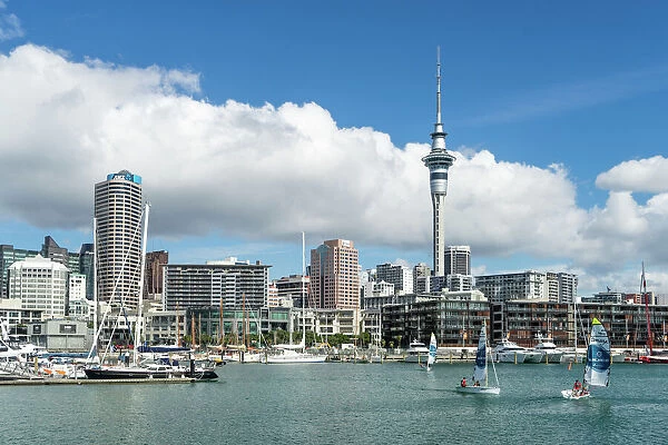 Small sailboats cruise in Auckland harbour in front of the city skyline, Auckland