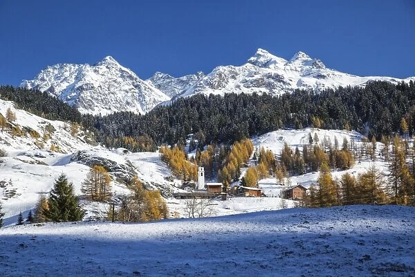 Snowy landscape and colorful trees in the small village of Sur, Val Sursette, Canton of Graubunden