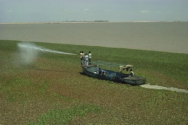 Spraying to eradicate water hyacinth at dam, Jebel Aulia, Sudan, Africa