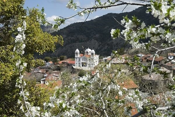 Spring view, Pedoulas, High Troodos Mountains, Cyprus, Europe