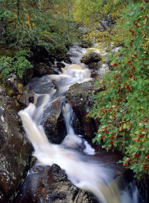 Framed Print : Glen Affric Stream Print Framed Print : Glen Affric Stream Print
