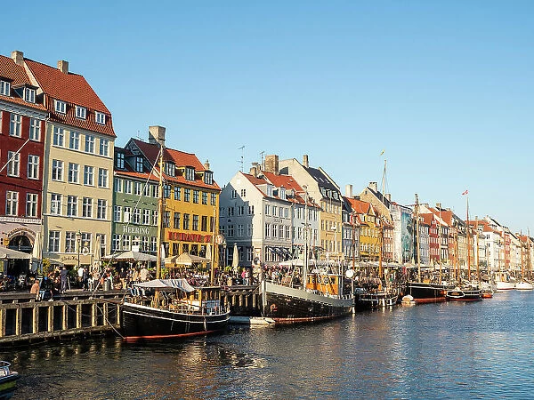 Summer Evening at Nyhavn Harbour, Copenhagen, Denmark, Scandinavia, Europe