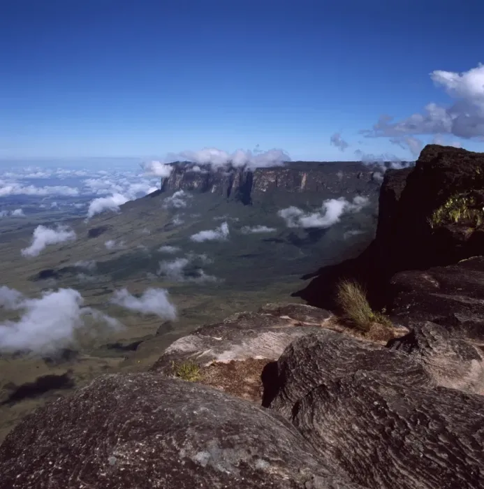 Framed Print : Mount Roraima Print, Venezuela Landscape