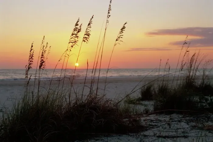 Framed Print : Gulf Coast Sunset Print Framed Print : Gulf Coast Sunset Print