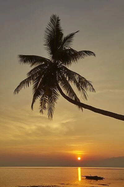 A sunset silhouette of a coconut palm at Paliton beach, Siquijor, Philippines, Southeast Asia