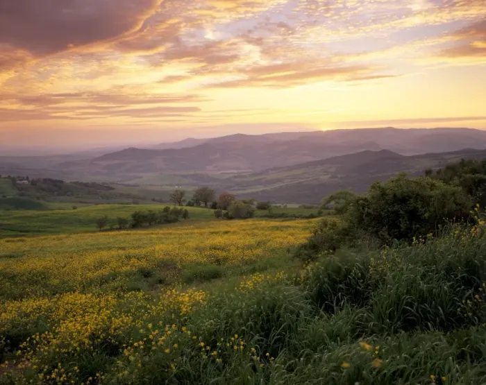 Framed Print : Val d Orcia Sunset Print Framed Print : Val d Orcia Sunset Print