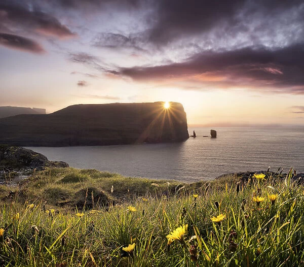 Sunset view on Rising og Kellingin sea stacks with yellow flowers in the foreground