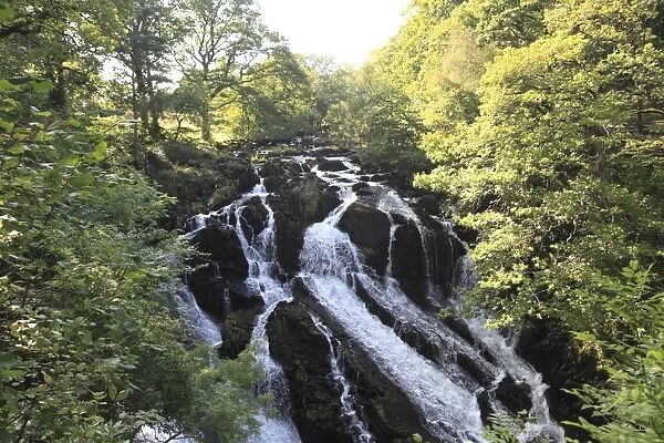 Swallow Falls, Waterfall, Afon Llugwy River, near Betws-y-Coed, North Wales, Wales
