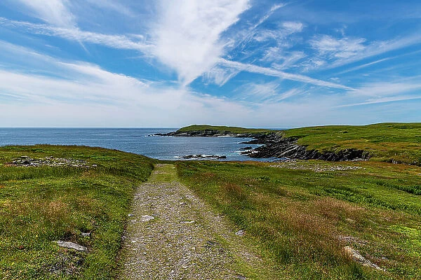 Track leading to Mistaken Point, UNESCO World Heritage Site, Avalon Peninsula, Newfoundland, Canada, North America